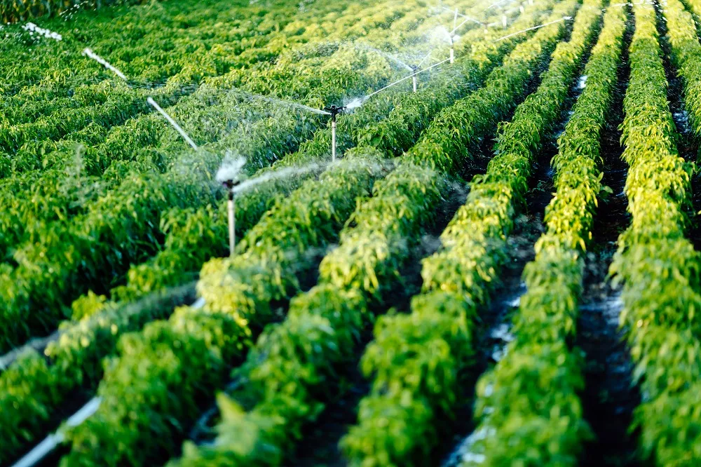 Precision Farming dan Transformasi Pertanian Modern