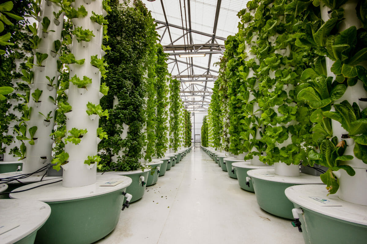 vertical farming